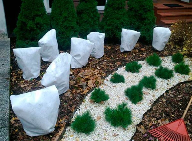 Виды зимних укрытий: когда и чем и укрывать растения на зиму