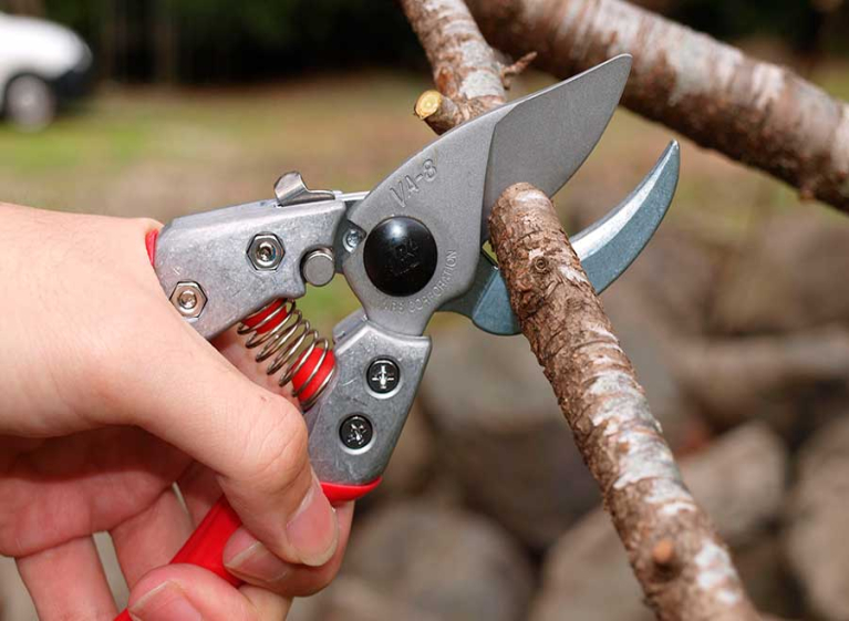 Как заточить секатор, пилы и другой садовый инструмент