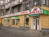 Саженцы в контейнерах в магазине «Мой сад»