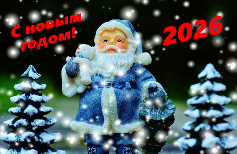 Дорогие наши садоводы, с наступающим Новым годом!