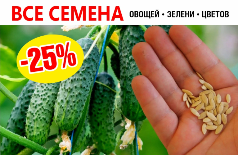 Скидка 25% на все семена до конца января!
