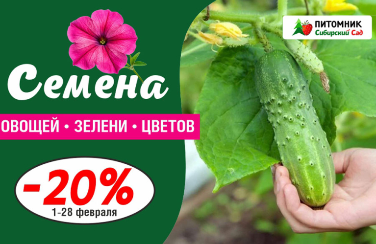 Семена со скидкой - 20% — только в феврале!